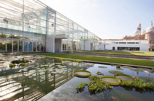 Giardino botanico di Padova, struttura e piscine